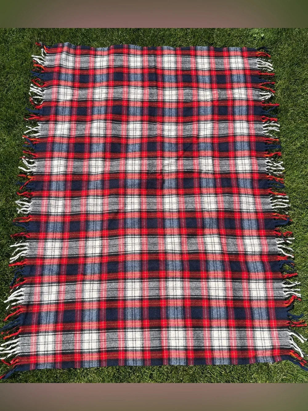 Vintage Troy Leisure Wool Blanket 55x51 With Tassles and original Carrying Bag